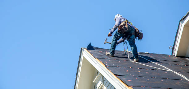 Best Roof Leak Repair  in Cressona, PA